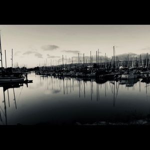 Meet your Posher, Arnold